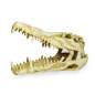 Preview: Lucky Reptile Deco Skull Krokodil